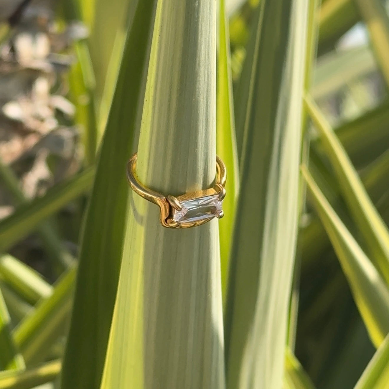 Paris Ring