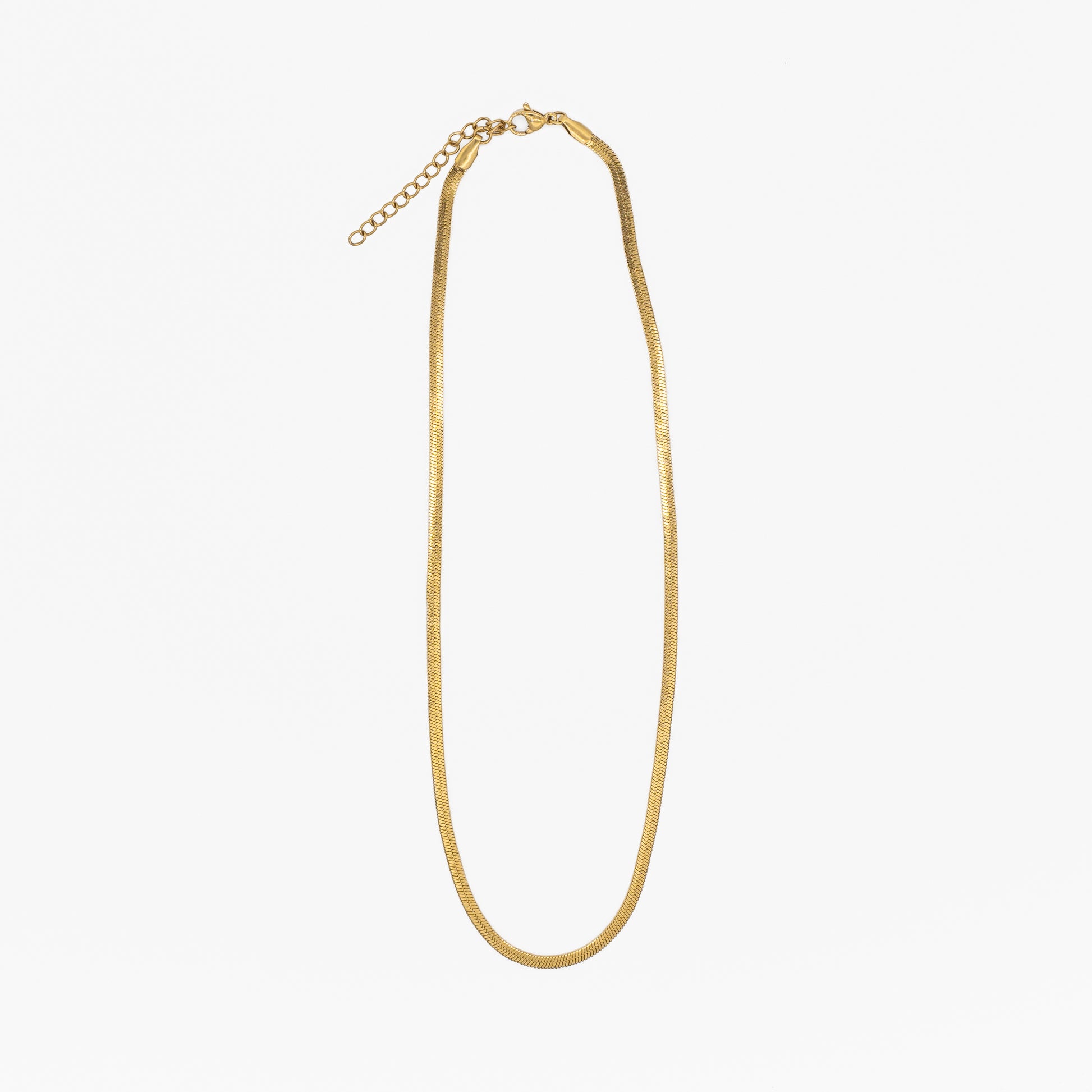 Gold "snake" necklace on a white background